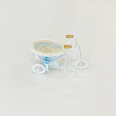 Cia Tricycle Flower Basket Blue